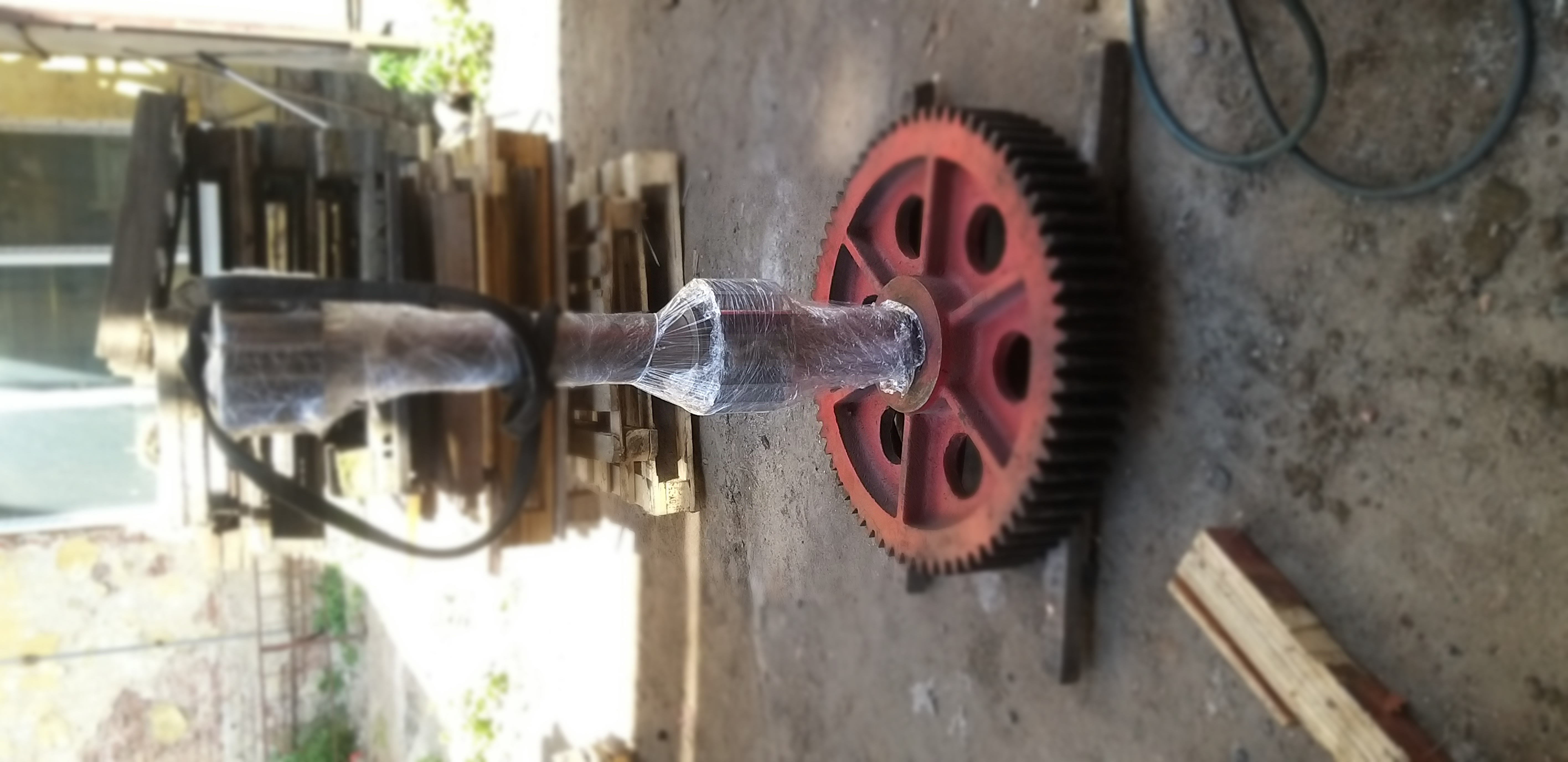20230526_125118.jpg
